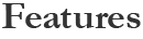 Features of Firm